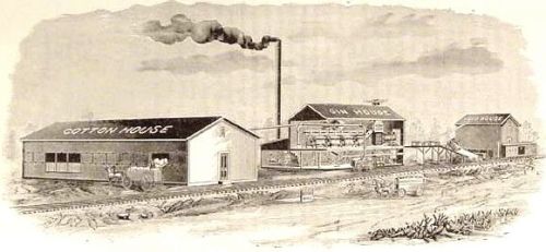 continental-gin_munger-drawing_