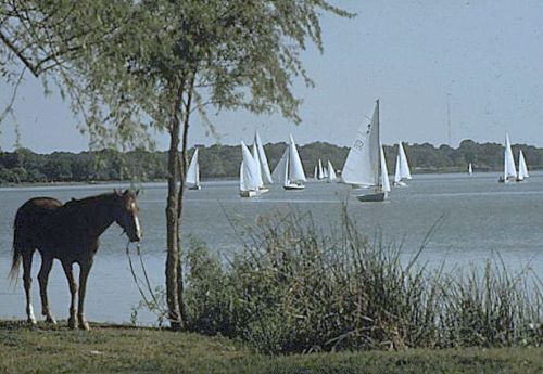 white-rock-lake_1972_EPA