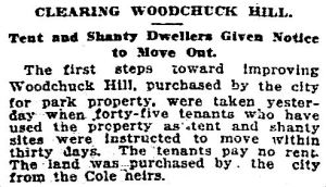 woodchuck-hill_dmn_031215