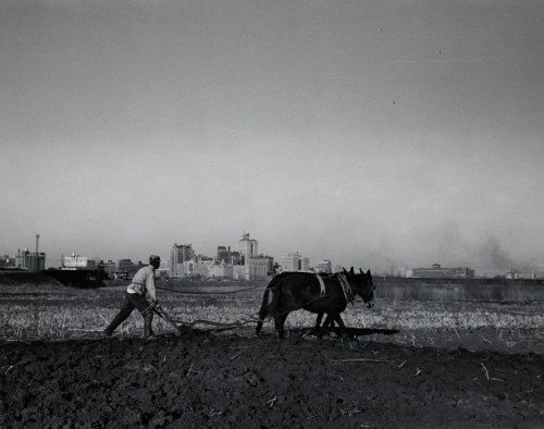 mydans_lucius-washington_smithsonian_1939