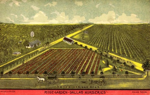 howell_rose-garden_1888