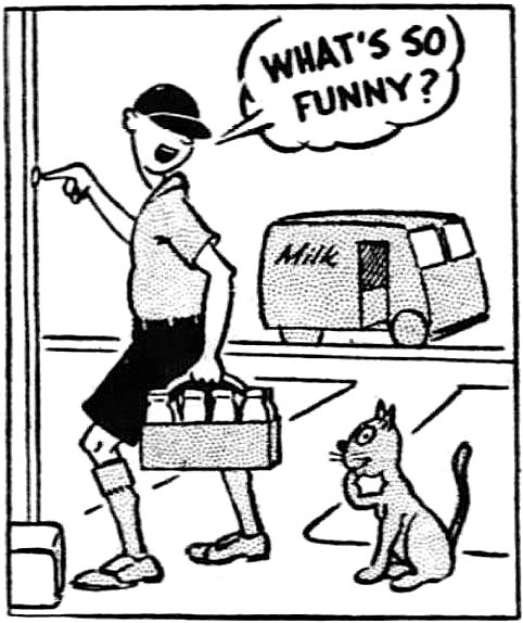 metzger_bermuda-shorts_philadelphia-inquirer_051255_cartoon