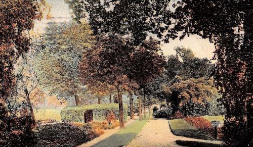 city-park_no-one-allowed-to-pull-flowers