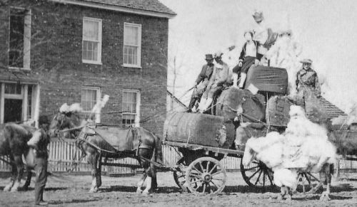 mardi-gras_1876-det1