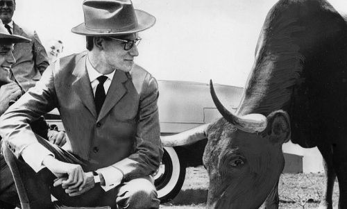 YSL_longhorn_josey-ranch_1958_eric-swecker