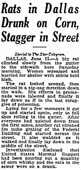 moonshine_rats_FWST_062621