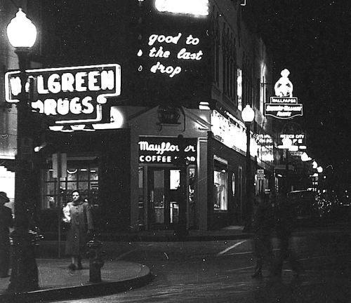 elm-ervay-live-oak_squire-haskins_uta_010753-det