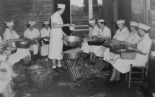 lunch-ladies_frontier-top-tier_dpl