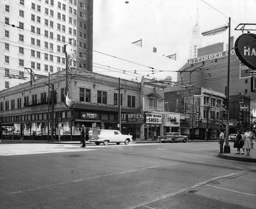 elm-harwood_ca-1960_dmn-tumblr