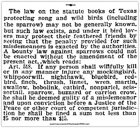 mockingbird_dmn_012900_pauline-periwinkle