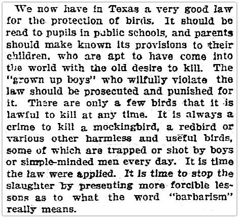 mockingbird_dmn_112905