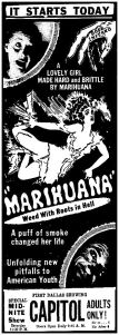 marihuana-film_dmn_080136