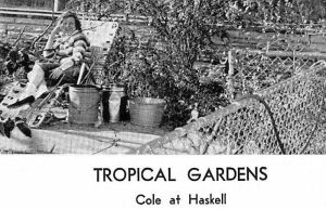 tropical-gardens_ndhs_1963-yrbk