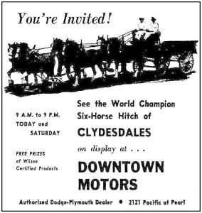 wilson-clydesdales_dmn_051151