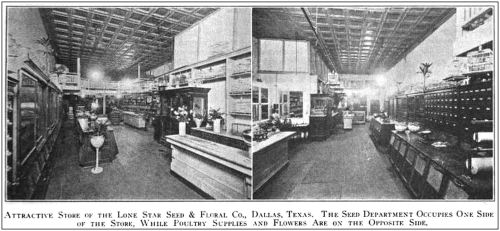 lone-star-seed_the-seed-world_082020