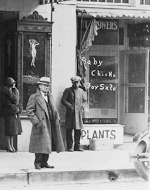 palace_lone-star-seed_1926_uta_det