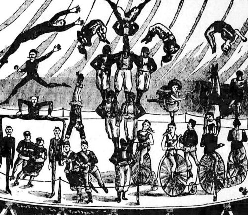 cole-circus_dallas-herald_101586-det