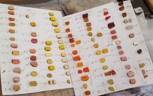 st-jude-chapel_oranges-yellows_052417_bosse