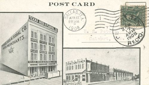 texas-seed-and-floral_1908_portal