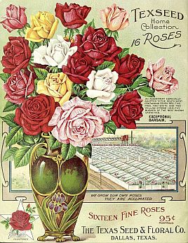 Spring, Brought to You by The Texas Seed & Floral Co. | Flashback : Dallas