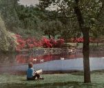 azaleas_turtle-creek_spring_swb-phone-book_1968_ebay