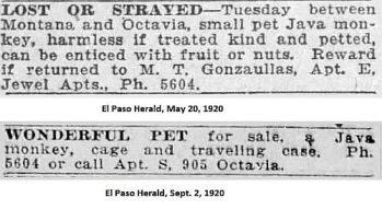 gonzaullas_el-paso-herald_1920-ads_monkey
