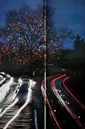 xmas-in-dallas_look-mag_dec-24-1957_pecan-tree