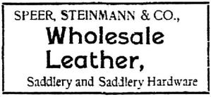 speer-steinmann_dmn_022699