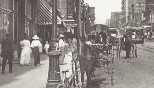 elm-street_gentrys_city-of-dallas-website_det1