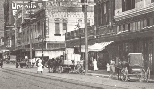 elm-street_gentrys_city-of-dallas-website_det2