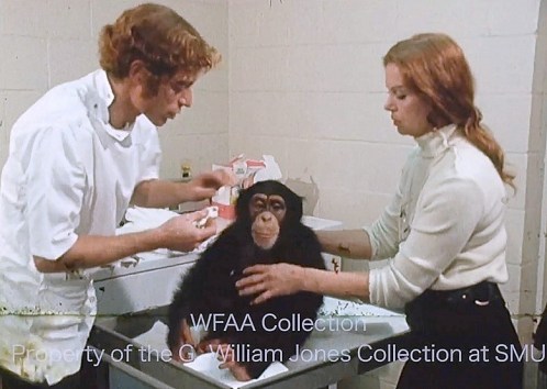 dinnes-martin_harold-chimp_022571_WFAA