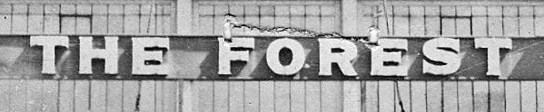forest-avenue-theater_1638-forest_mike-cochran_detail